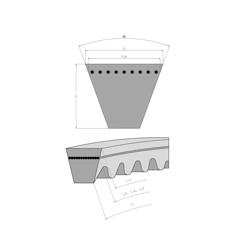 Záruka V Ceně Řemen klínový Rubena 12,5x750 AVX13-SF