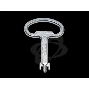 Expresní Doručení Klíč (Fiat) k vložce