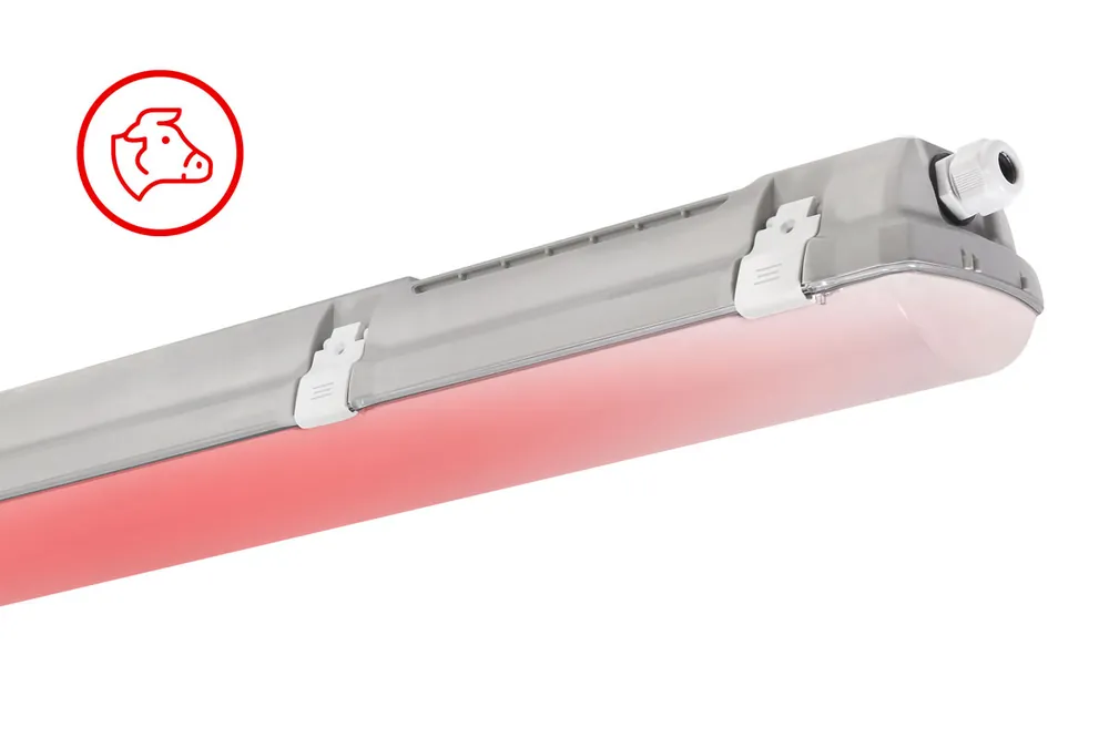 SK0419802-CZ20260306-083626-0-1772757397-pim-3411684_1 Vysoce Kvalitní PRIMA 1.5ft ABS 8000/840 RED