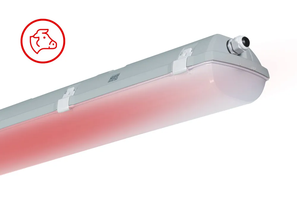 Zlevněný FUTURA 2.4ft ABS 8800/840 RED